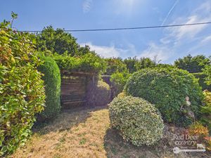 Garden- click for photo gallery